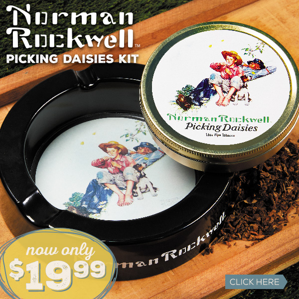 Norman Rockwell Picking Dasies Kit Now Only $19.99