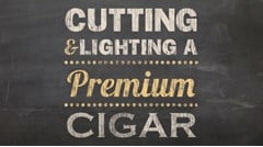 Cutting and Lighting a Premium Cigar